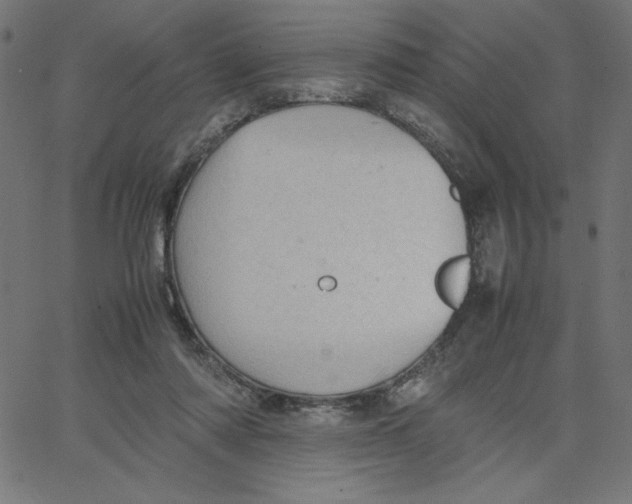 X0000067520310200604281641