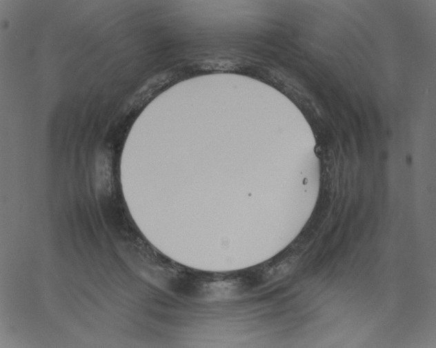 X0000067520312200604281641