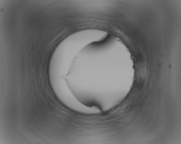 X0000067520313200604281641