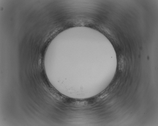 X0000067520314200604281641