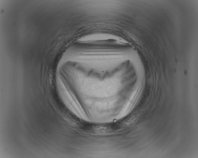 X0000067520315200604281641