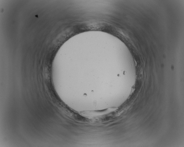 X0000067520317200604281641