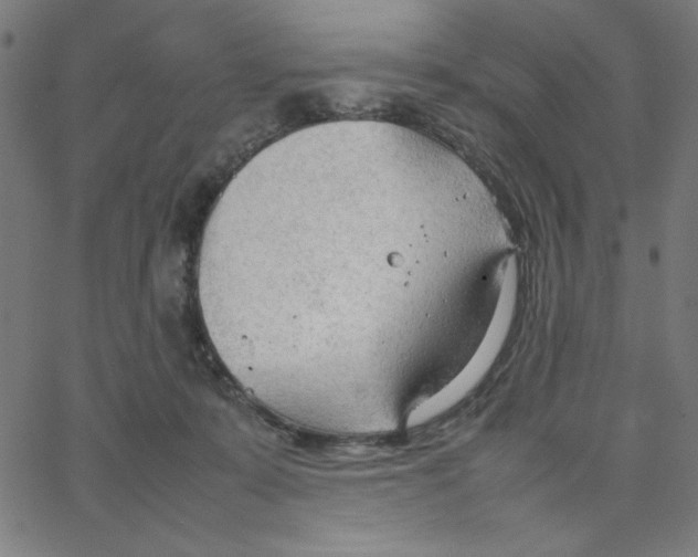 X0000067520319200604281641