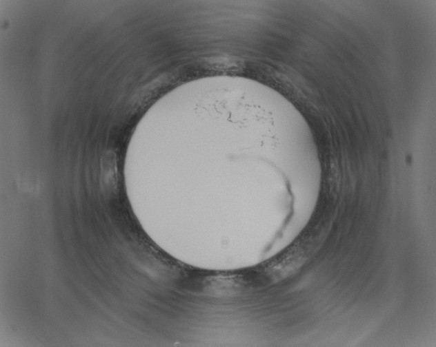 X0000067520320200604281640