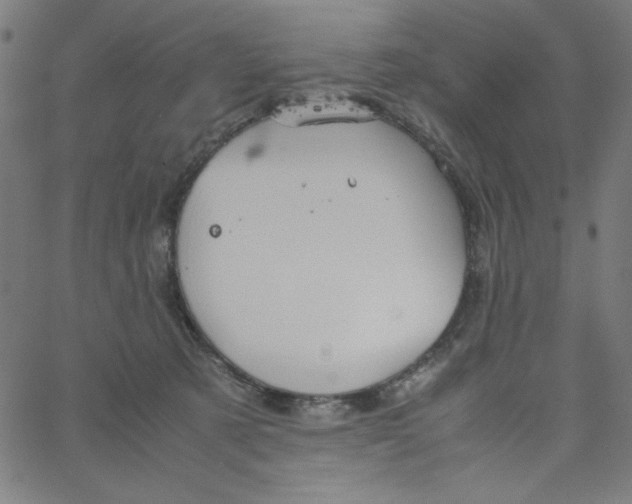 X0000067520321200604281640