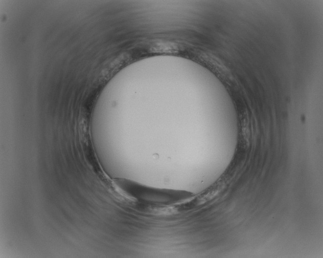 X0000067520322200604281640