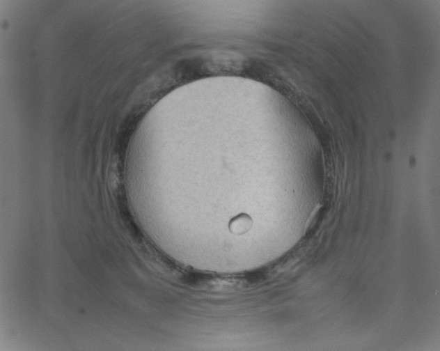 X0000067520323200604281640