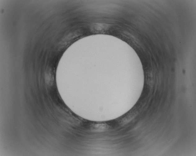 X0000067520324200604281640