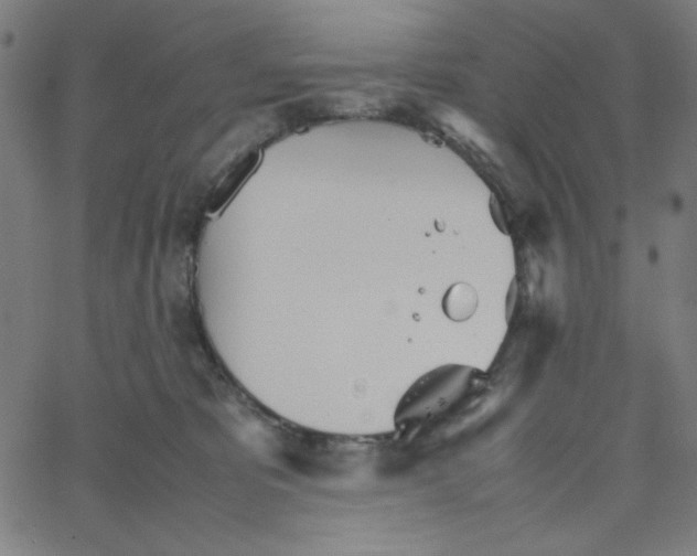 X0000067520325200604281640