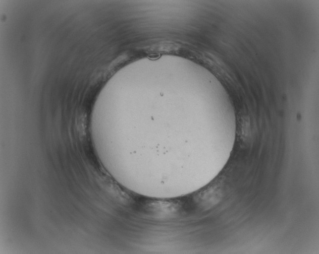 X0000067520326200604281640