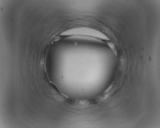 X0000067520329200604281640