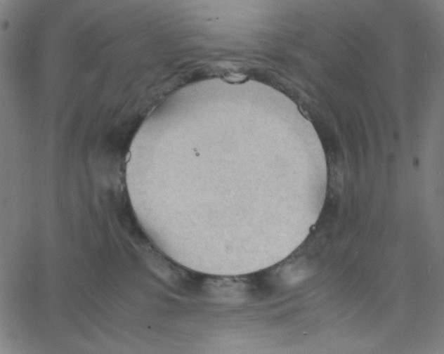 X0000067520331200604281640