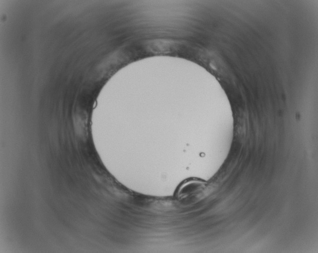 X0000067520332200604281640