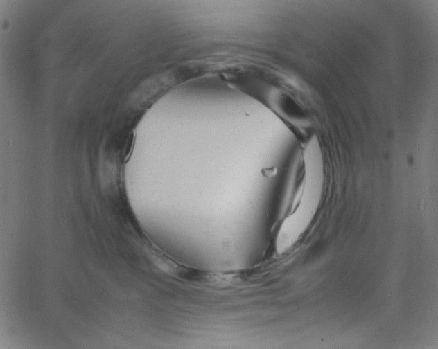 X0000067520333200604281640