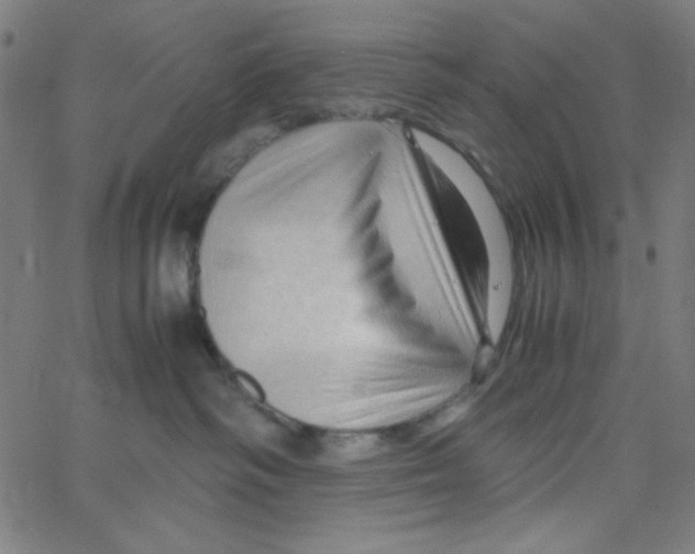 X0000067520334200604281640