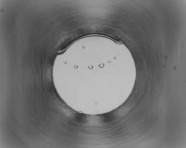 X0000067520336200604281640