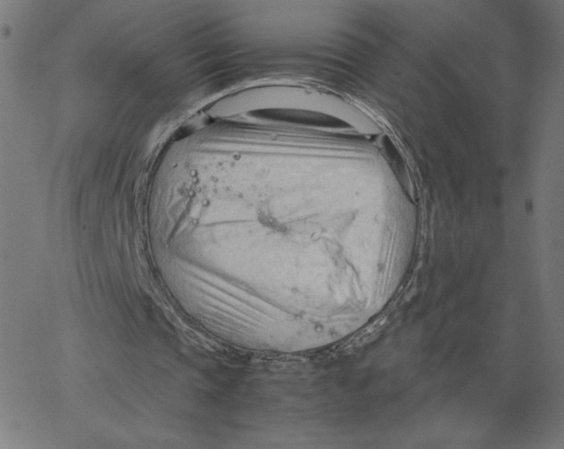 X0000067520337200604281639