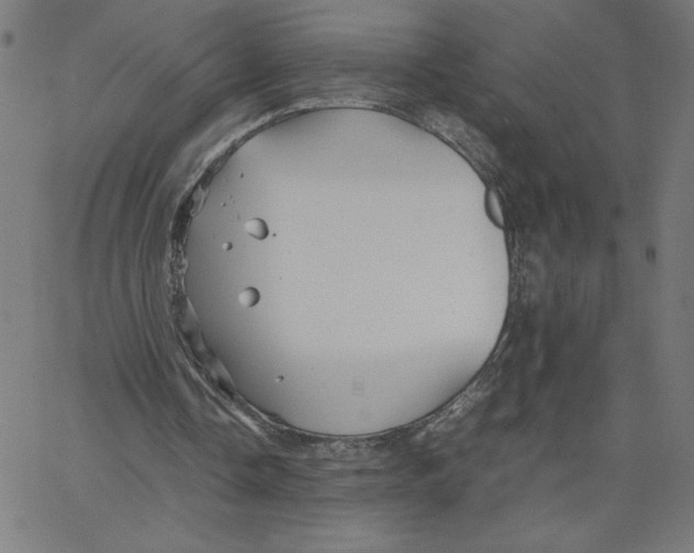 X0000067520338200604281639