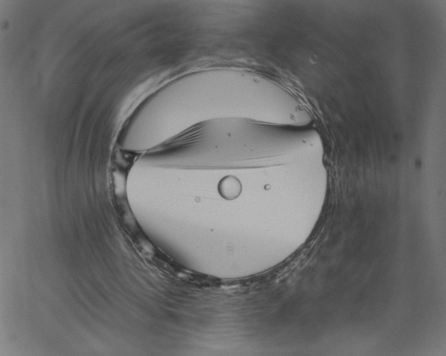 X0000067520340200604281639