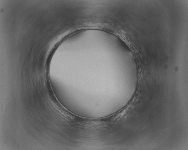 X0000067520342200604281640