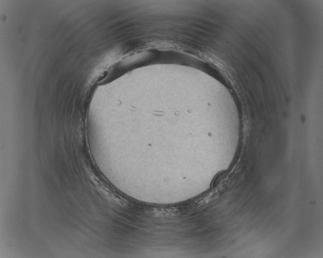 X0000067520345200604281640