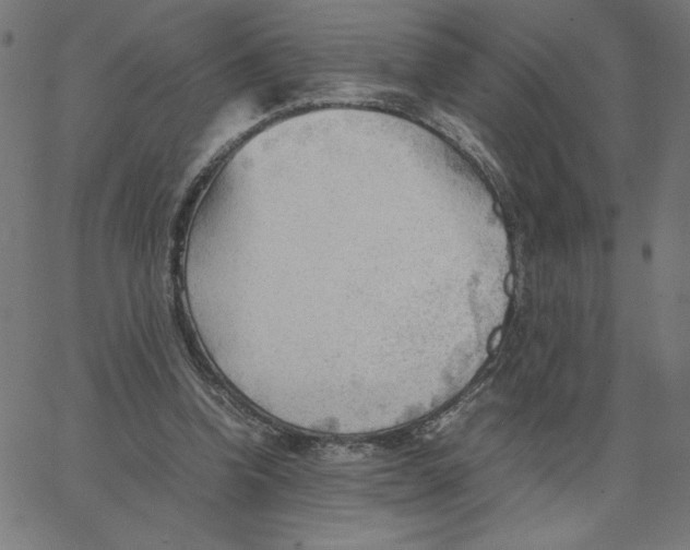 X0000067520346200604281640