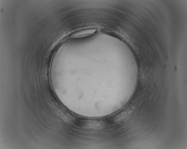 X0000067520347200604281640