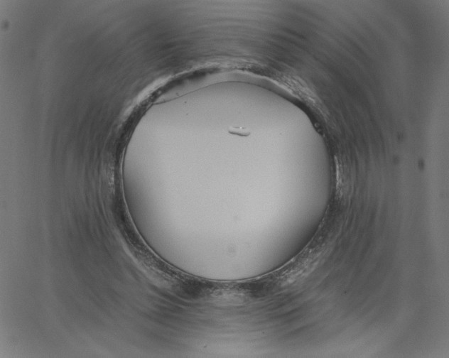 X0000067520348200604281640