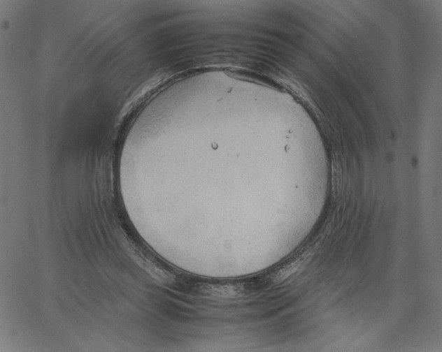 X0000067520349200604281640