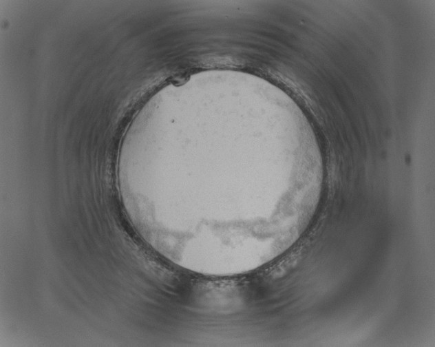 X0000067520353200604281640