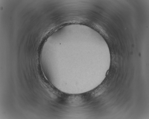 X0000067520354200604281640