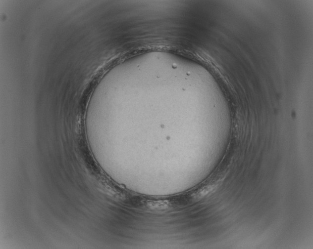 X0000067520355200604281640