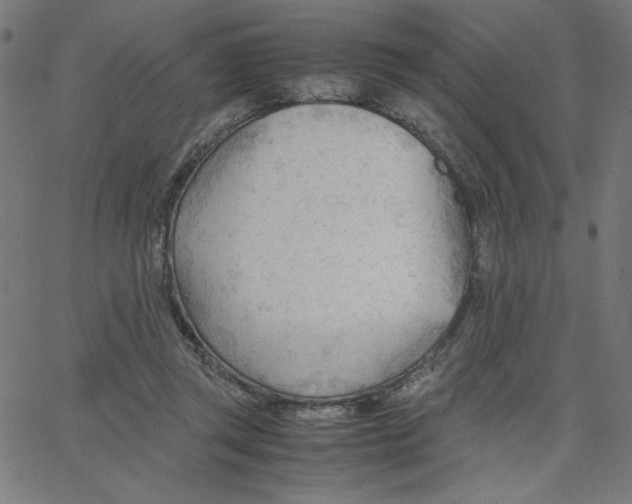 X0000067520357200604281640