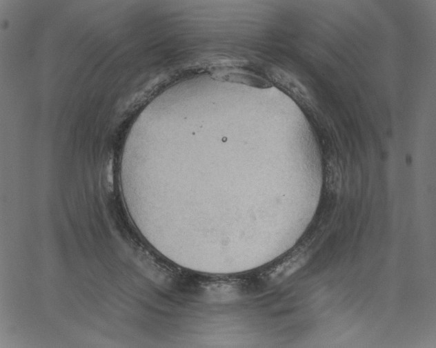 X0000067520358200604281640