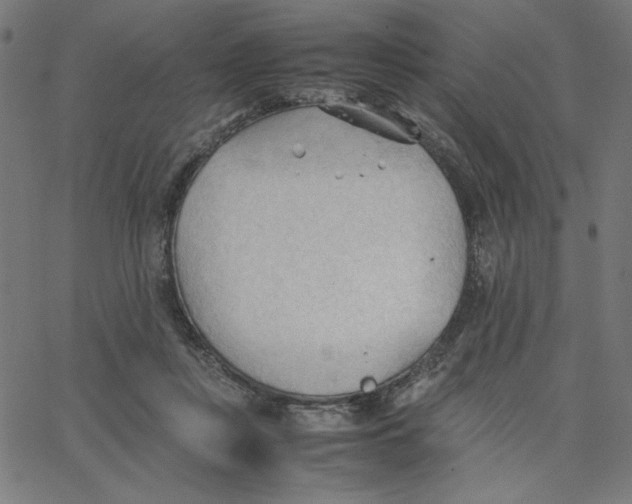 X0000067520359200604281640