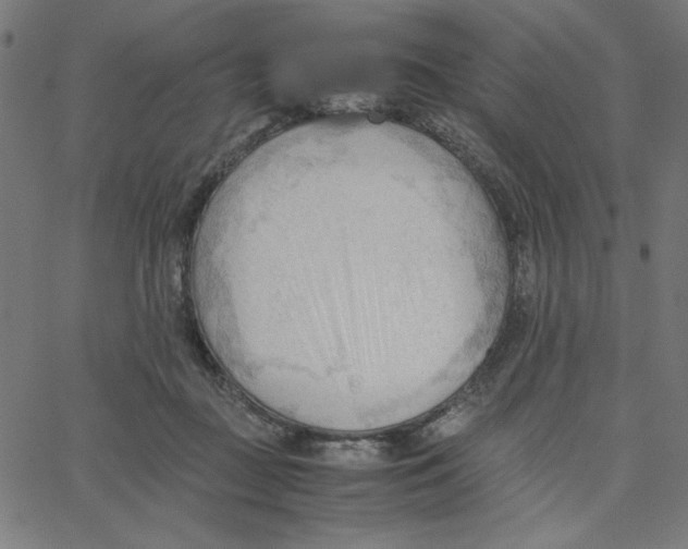 X0000067520363200604281640