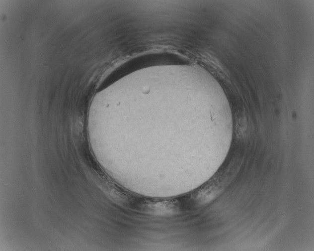 X0000067520365200604281640