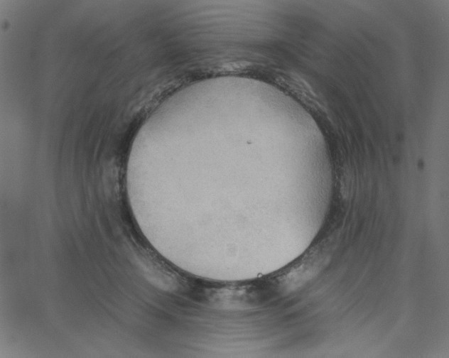 X0000067520366200604281640