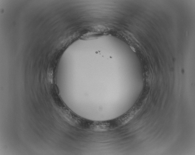 X0000067520368200604281640