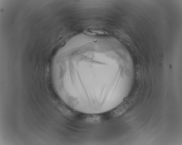 X0000067520369200604281640