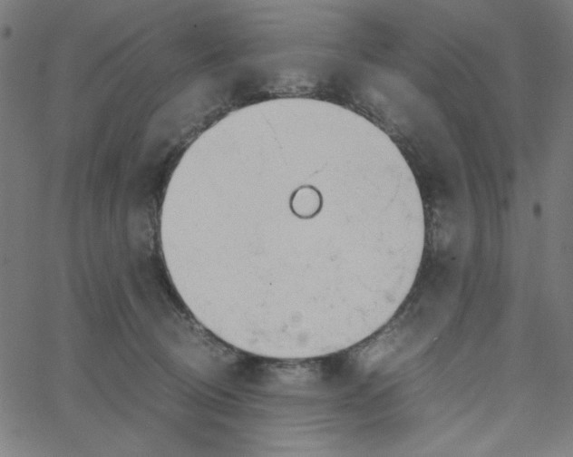 X0000067520370200604281640