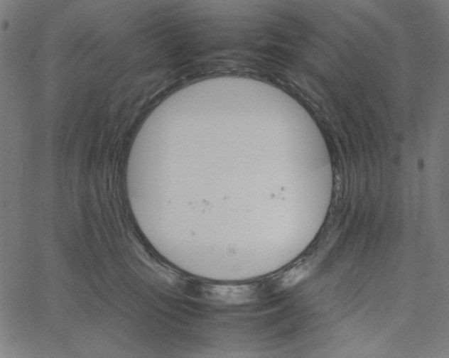 X0000067520371200604281640