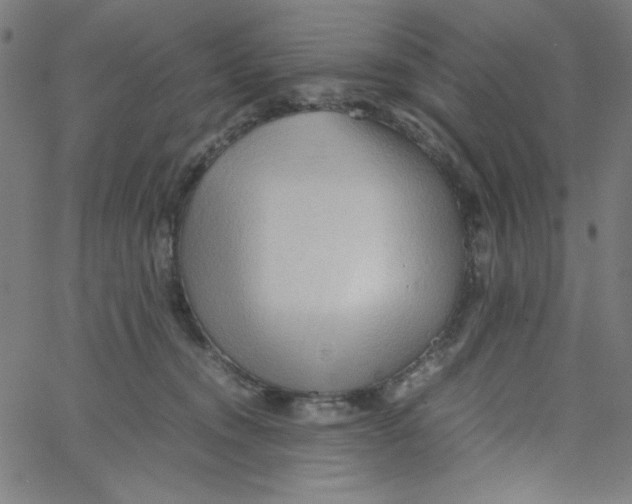 X0000067520372200604281640