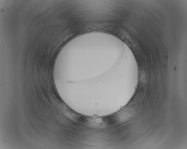 X0000067520374200604281640