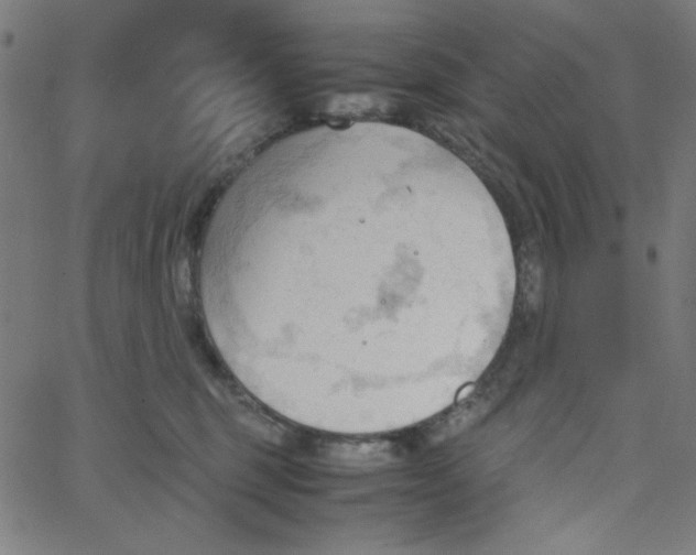 X0000067520375200604281640