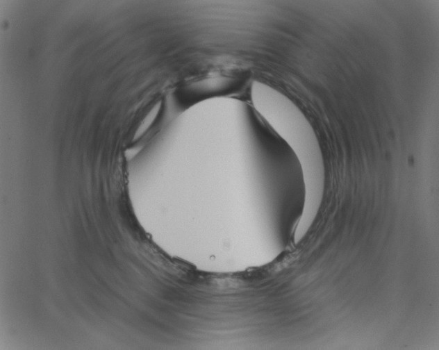 X0000067520376200604281640