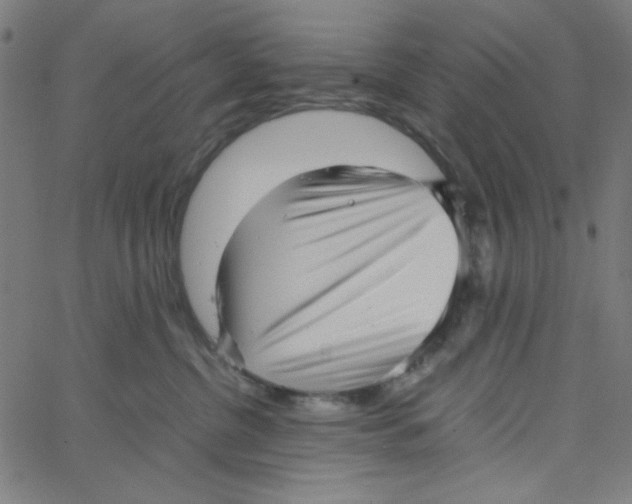 X0000067520380200604281640