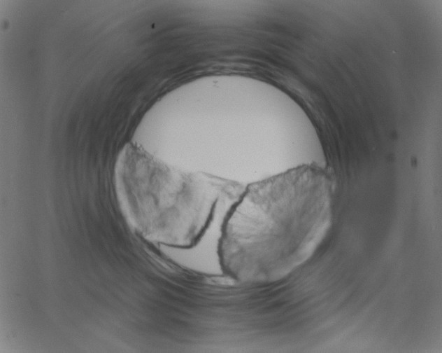 X0000067520381200604281640