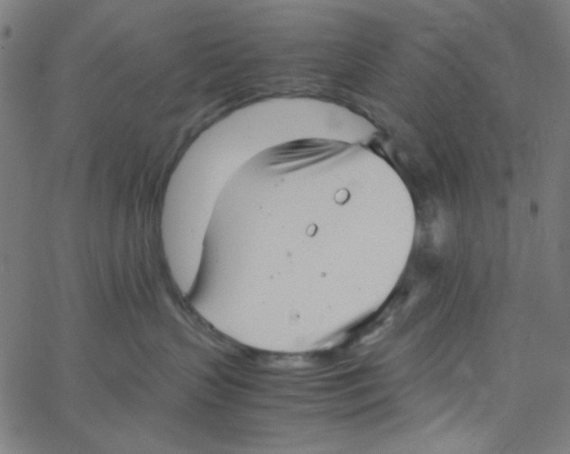 X0000067520383200604281640