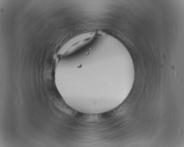 X0000067520384200604281640